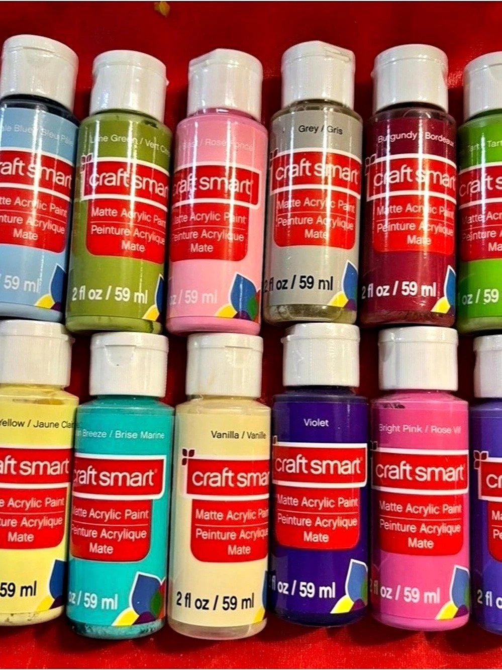 Craft Smart Acrylic Paint Assorted 16pc Set NWOT